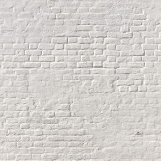 WALL16 Whitewash Brick Wall